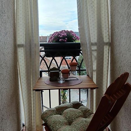 Apartman Element Kruševac Exterior foto
